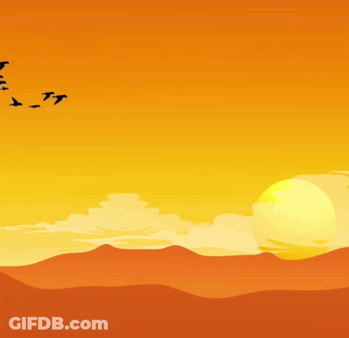Flock Of Birds Flying At Sunset GIF