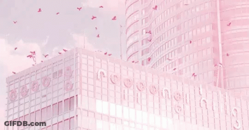 Flock Of Birds Flying Over Pink Building GIF