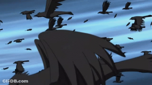 Flock Of Birds Flying Over Water GIF