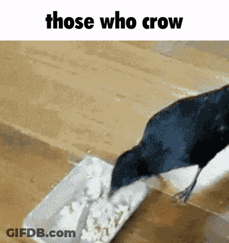 Flock Of Black Birds Saying Jar Jar Jar GIF