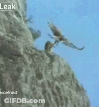 Flock Of Ducks Flying In Blue Sky GIF