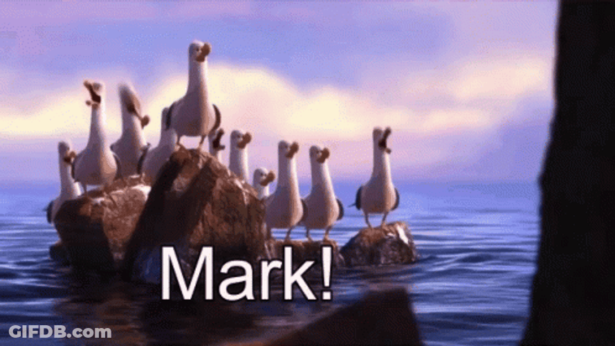 Flock Of Seagulls Calling Mark Meme GIF