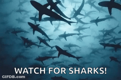 Flock Of Sharks Swimming With Watch For Sharks GIF