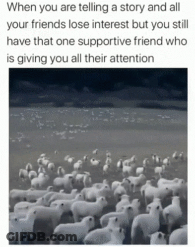 Flock Of Sheep Saying When You Are Telling A Story And All Your Friends GIF
