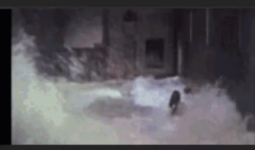Flood Water Flow Swept Away Basement GIF
