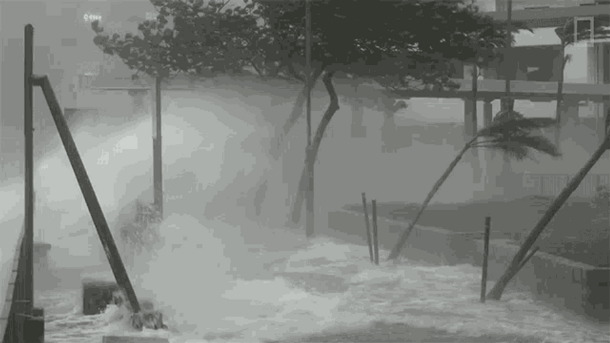 Flood Waves Crashing Typhoon National Geographic GIF