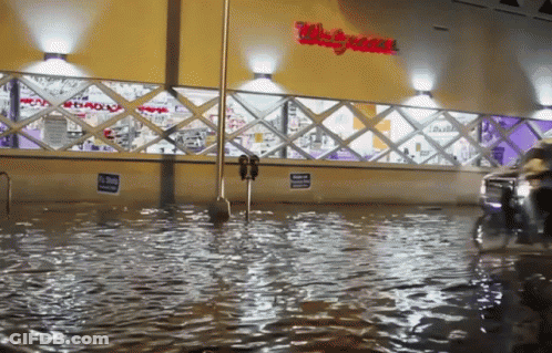 Flooded Area Outside Walgreens GIF