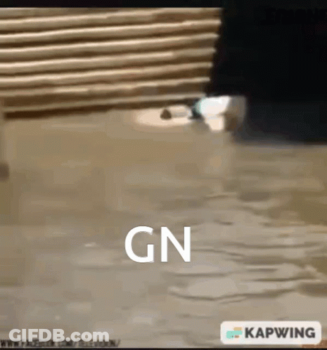 Flooded Area With Gn GIF