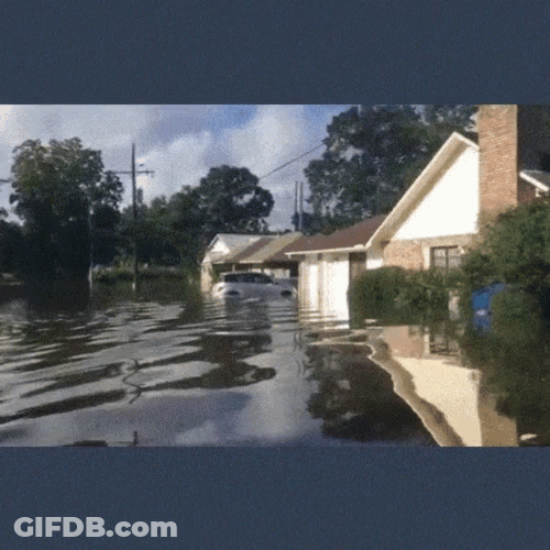 Flooded Community Get Insurance GIF