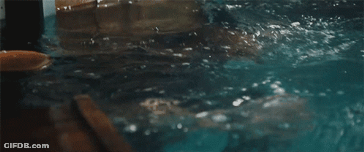 Flooded George Ezra GIF