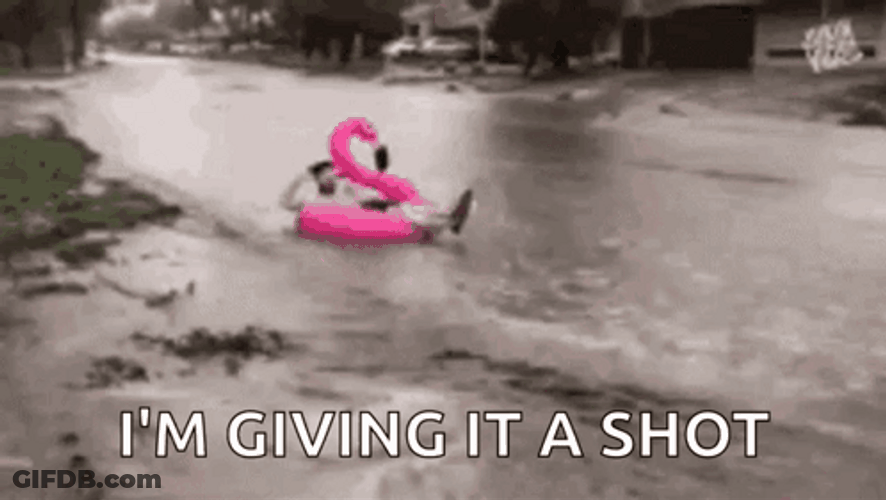 Flooded In Flamingo Floatie GIF