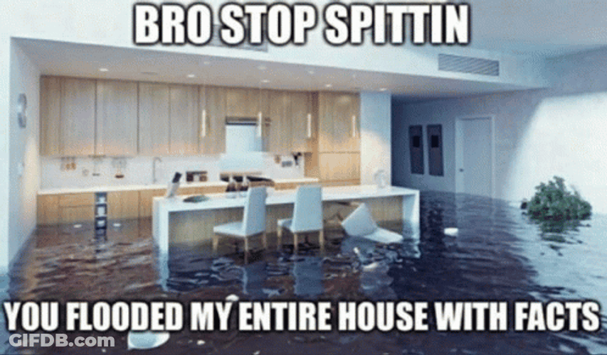 Flooded My House GIF