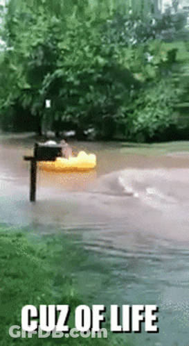 Flooded Street Cuz Of Life GIF