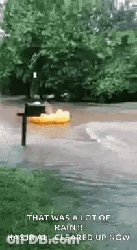 Flooded Street With Mailbox And Duck GIF