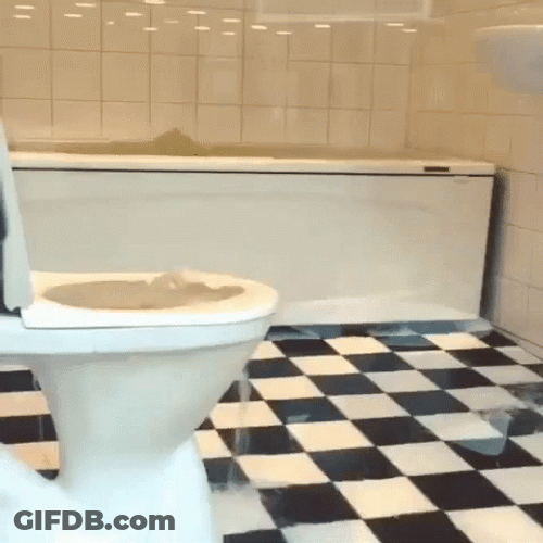 Flooded Water In The Toilet GIF