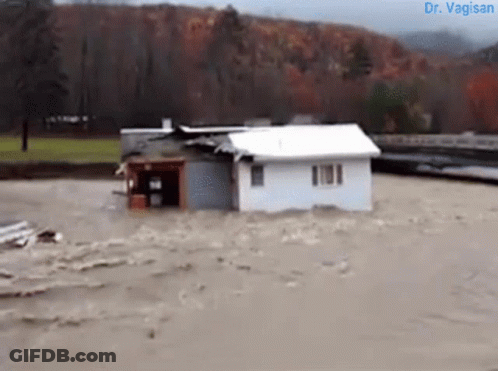 Flooded White House With Dr Vagisan GIF