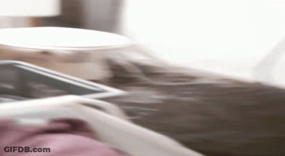 Flooding In The Toilet GIF