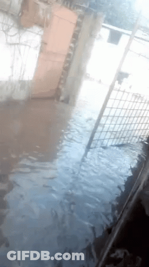 Flooding Starts Outside GIF