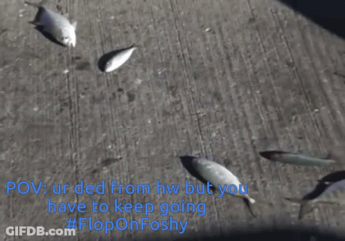 Flop Flopping Fish GIF