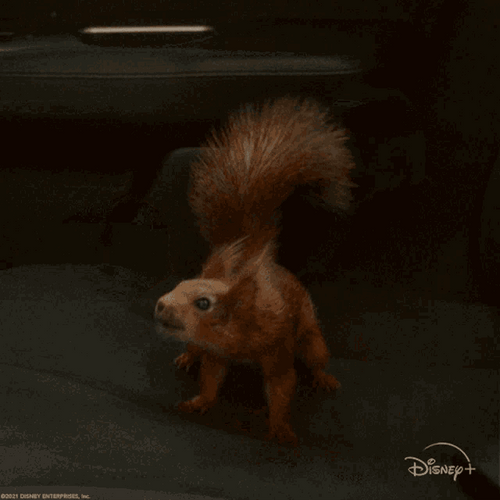 Flora And Ulysses Squirrel GIF