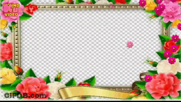 Floral Frame Saying Pound Kulfy Video GIF