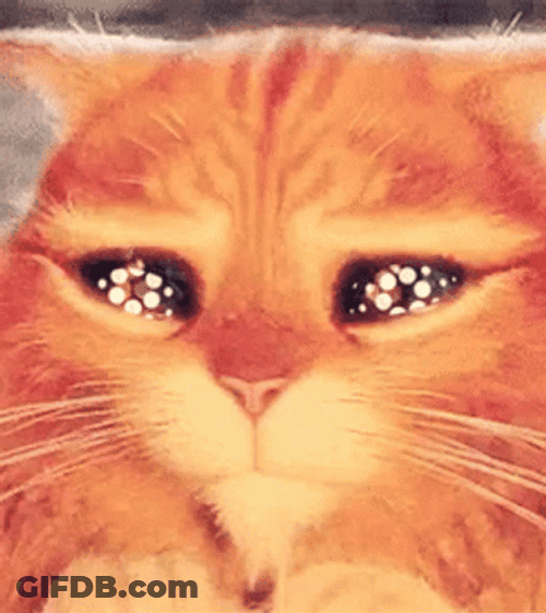 Floral Wide Puss In Boots Eyes GIF