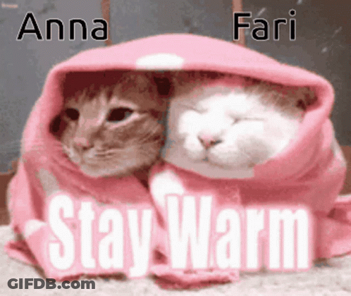Florence Home Healthcare Good Afternoon Sunshine Stay Warm GIF
