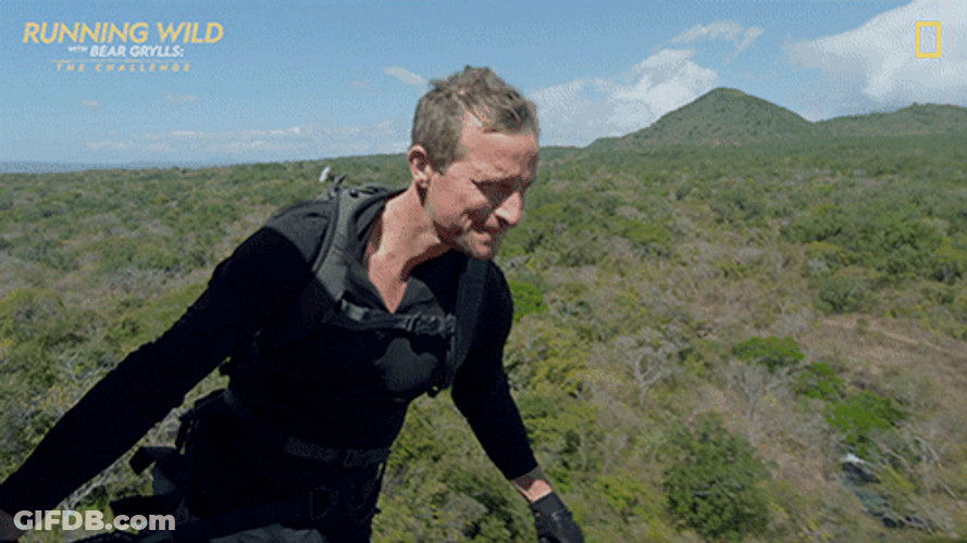 Florence Pugh There's Bear Nat Geo GIF