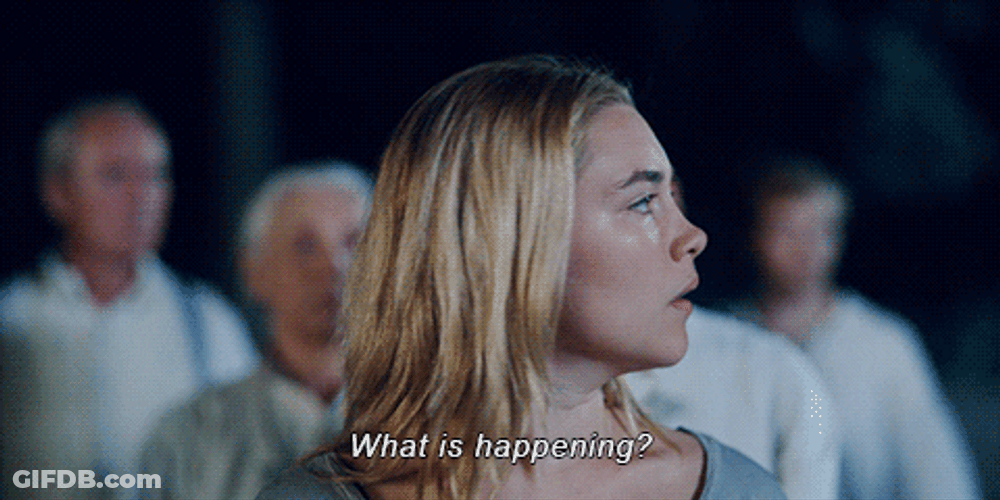 Florence Pugh What Is Happening GIF