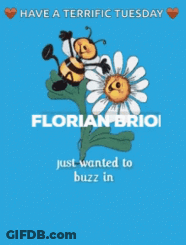 Florian Brioi Wishing Honey Of A Tuesday GIF