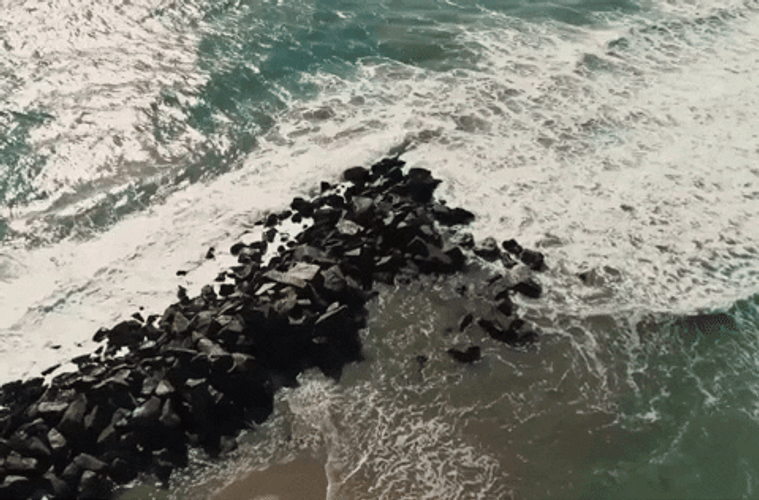 Florida California Beach GIF