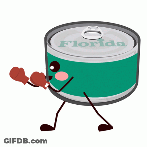 Florida Can Go Sports GIF