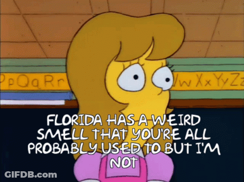 Florida Has A Weird Smell GIF