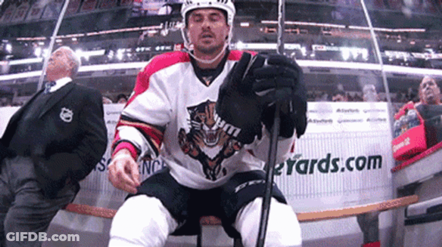 Florida Panthers Cheaters Never Win GIF
