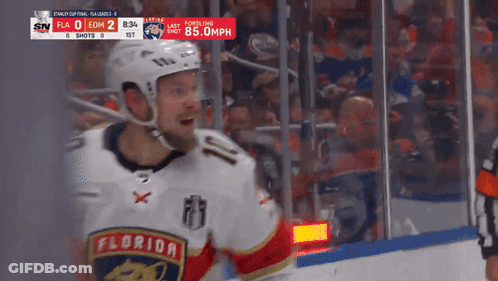 Florida Panthers Hockey Player GIF