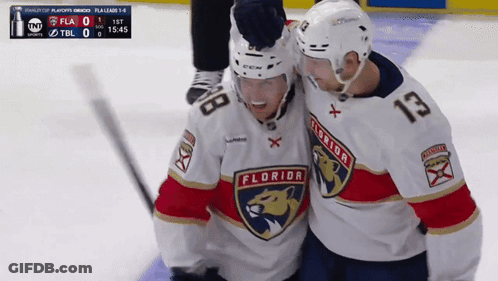 Florida Panthers Hockey Players Celebrating Goal GIF
