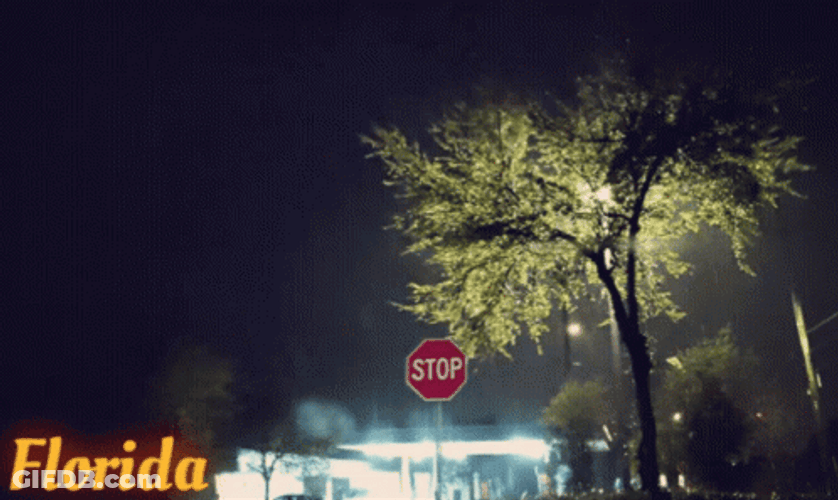 Florida Raining And Lightning Weather GIF