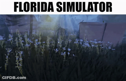 Florida Simulator Poster With Flower Field GIF