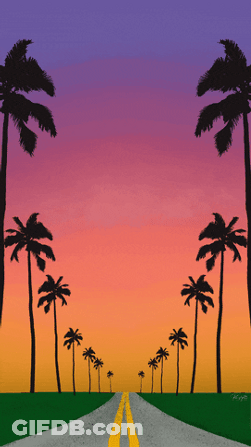 Florida Sky Palm Tree Line Animation GIF