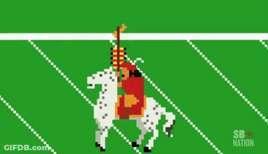 Florida State Animated Horse GIF