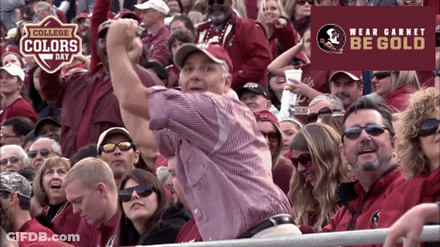 Florida State Goofy Fans Dancing GIF