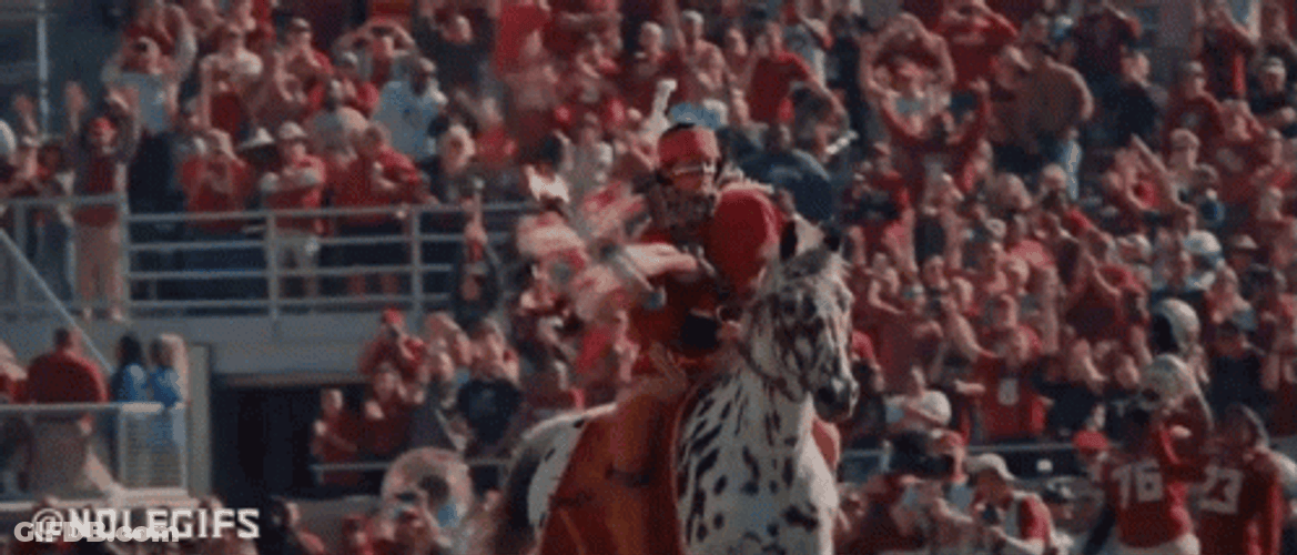 Florida State Horse Parade Tradition GIF