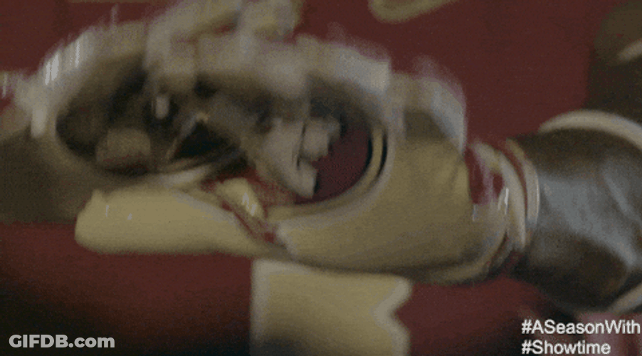 Florida State Logo Gloves GIF