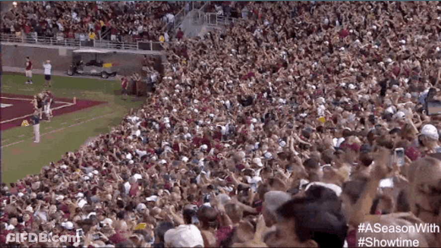 Florida State Many Fans Cheering GIF