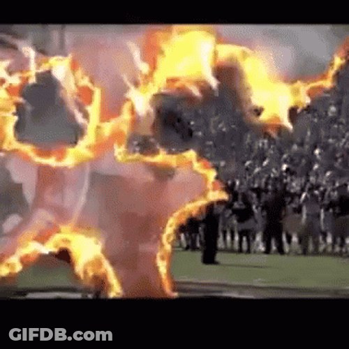 Florida State Opening Tradition GIF