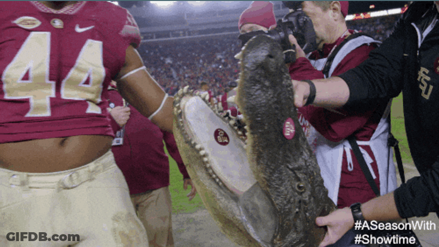 Florida State Raising The Crocodile Head Trophy GIF