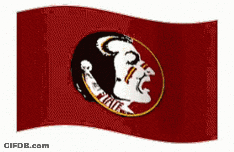 Florida State Red Flag GIF