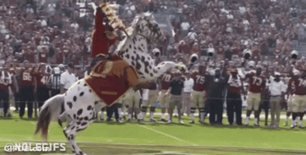 Florida State Sticking The Stick GIF