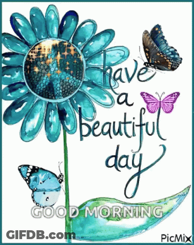 Flower And Butterflies Have A Beautiful Day GIF