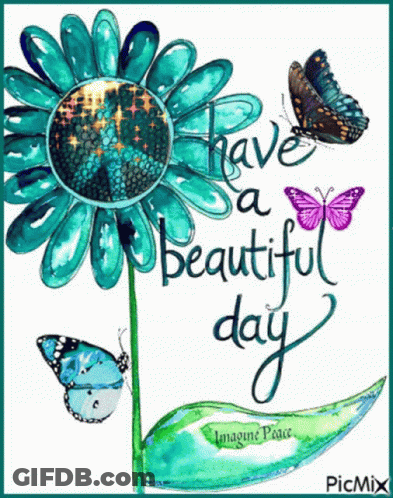 Flower And Butterflies Have A Beautiful Day GIF